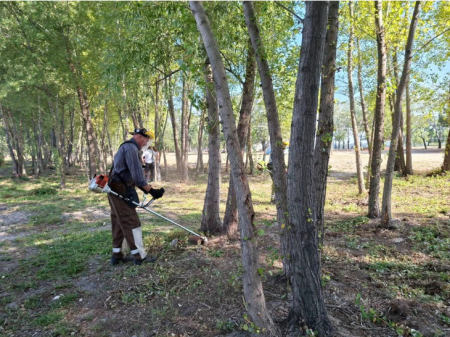 Дніпро, острів Монастриський /фото з відкритих джерел