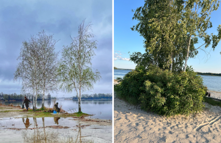 З різницею у два роки весна 2023- літо 2025 р./ фото Наталї Тарасової та авторки