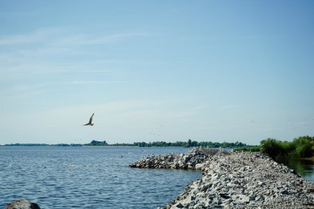 Укріплення водосховища/ фото Полтавська ОВА