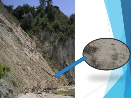 Гора Пивиха / фото РОВР