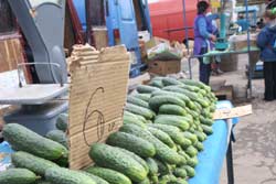 Хто диктує ціну на огірки? Хто диктує ціну на огірки?