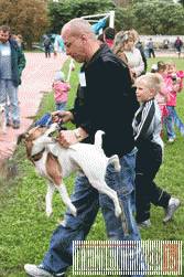 Собачий парад Собачий парад