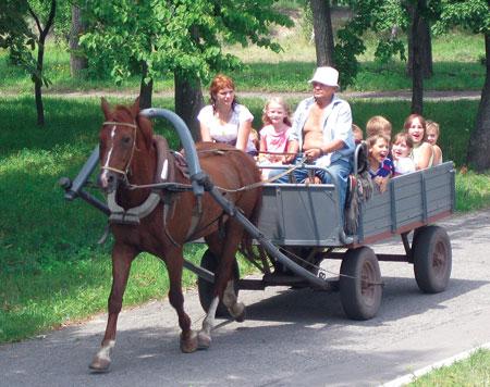 Полная свобода от родителей! Полная свобода от родителей!
