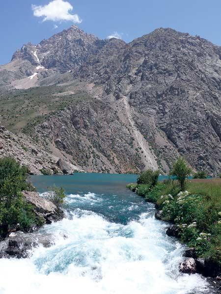 Баранинки «на шару» не желаете? Баранинки «на шару» не желаете?