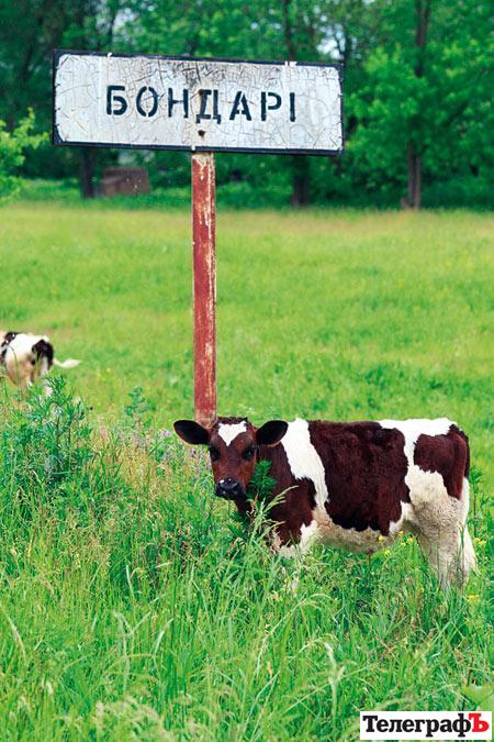 Будівництво нового ГЗК може перетворити Кременчуцький район на зону екологічного лиха Будівництво нового ГЗК може перетворити Кременчуцький район на зону екологічного лиха