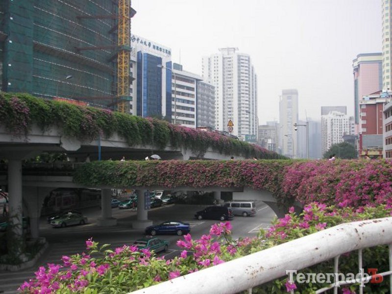 Для китайцев мы все – на одно лицо! Для китайцев мы все – на одно лицо!