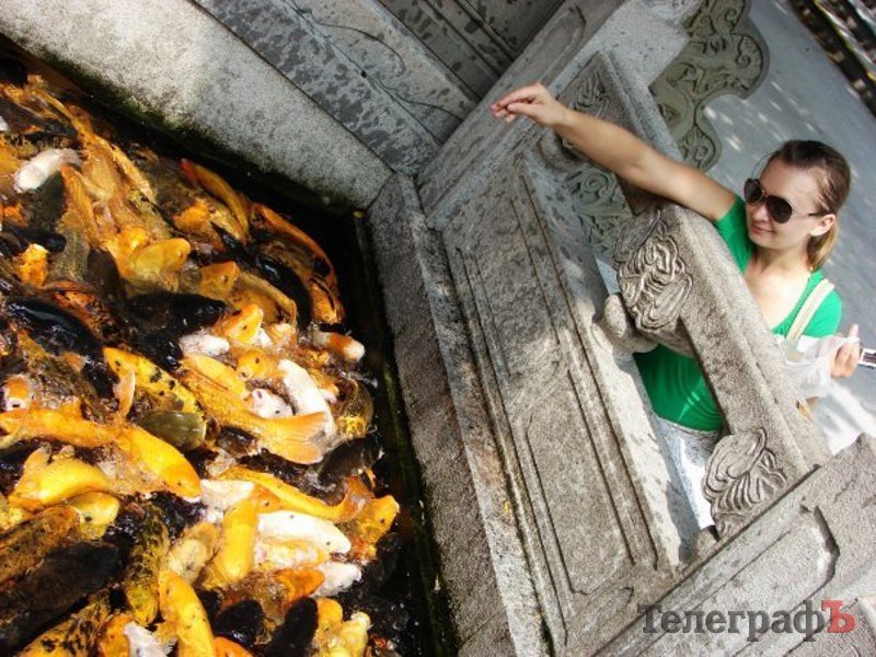 Для китайцев мы все – на одно лицо! Для китайцев мы все – на одно лицо!