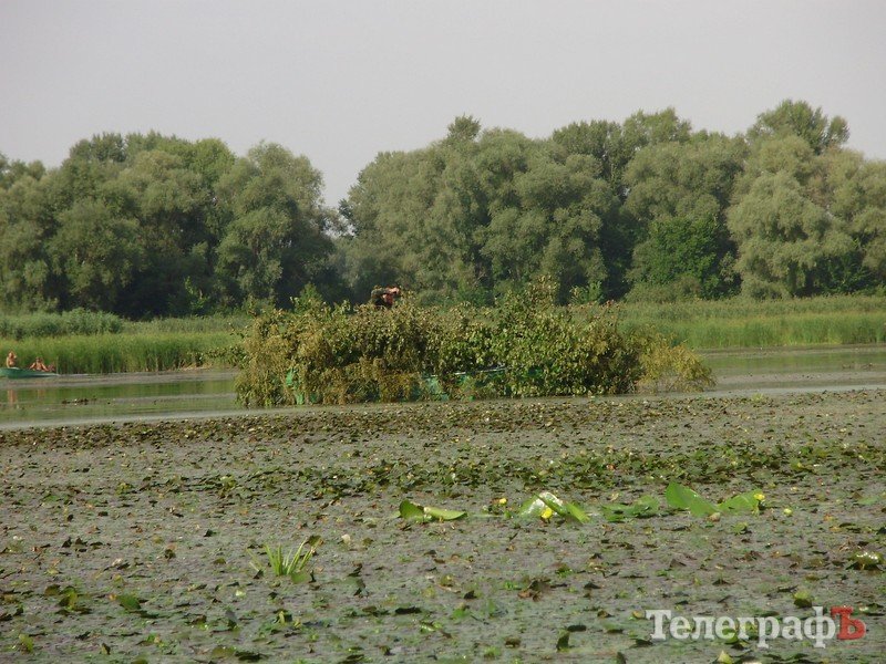 В Кременчуге открылся сезон охоты (ФОТО) В Кременчуге открылся сезон охоты (ФОТО)