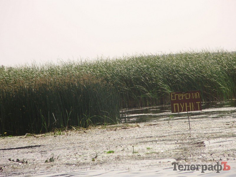 В Кременчуге открылся сезон охоты (ФОТО) В Кременчуге открылся сезон охоты (ФОТО)