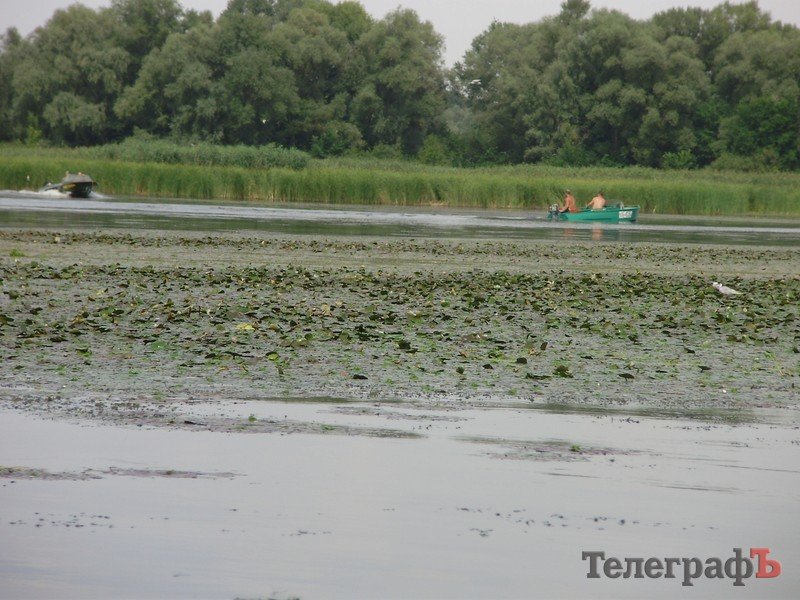В Кременчуге открылся сезон охоты (ФОТО) В Кременчуге открылся сезон охоты (ФОТО)