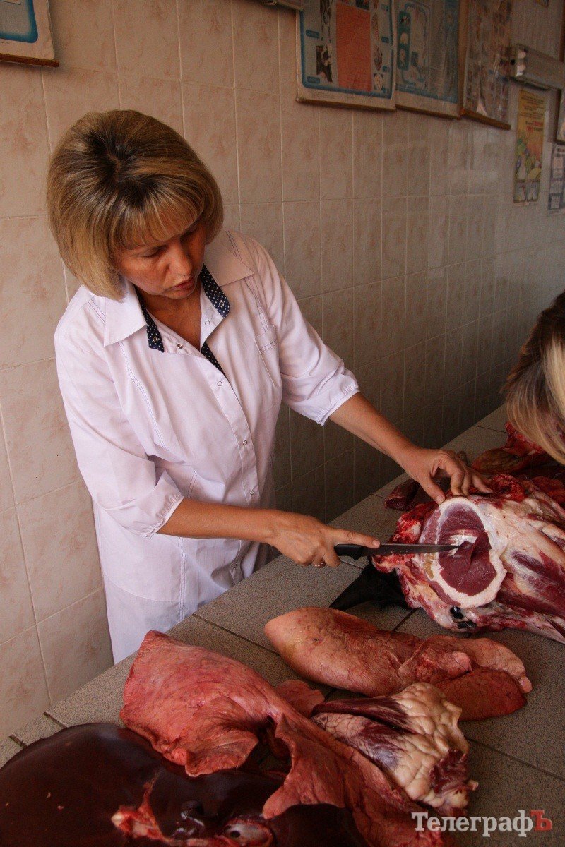 Як перевірити продукти на якість Як перевірити продукти на якість