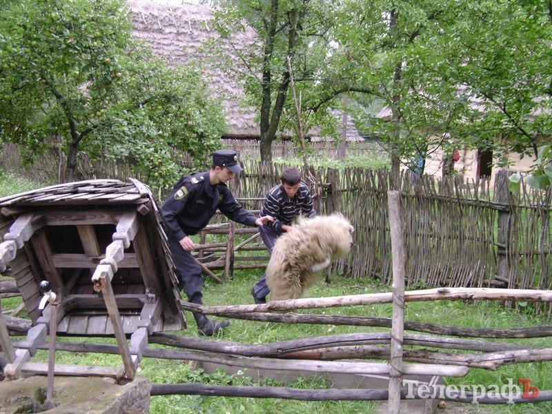 Закарпаття очима кременчужанина Закарпаття очима кременчужанина