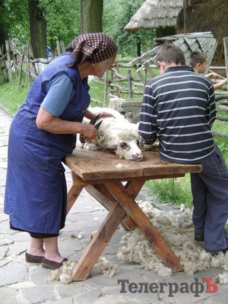 Закарпаття очима кременчужанина Закарпаття очима кременчужанина