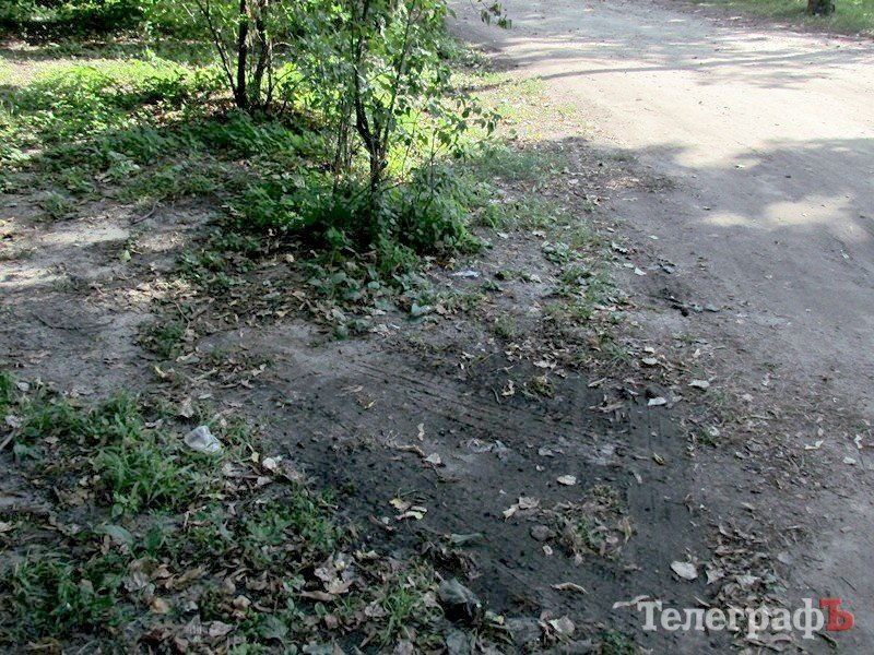 В Кременчуге по Приднепровскому парку ездят машины (ФОТО) В Кременчуге по Приднепровскому парку ездят машины (ФОТО)