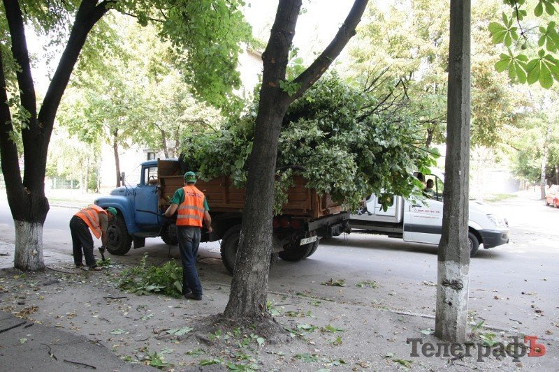 На улице Шевченко в Кременчуге подрезают липы (ФОТО) На улице Шевченко в Кременчуге подрезают липы (ФОТО)