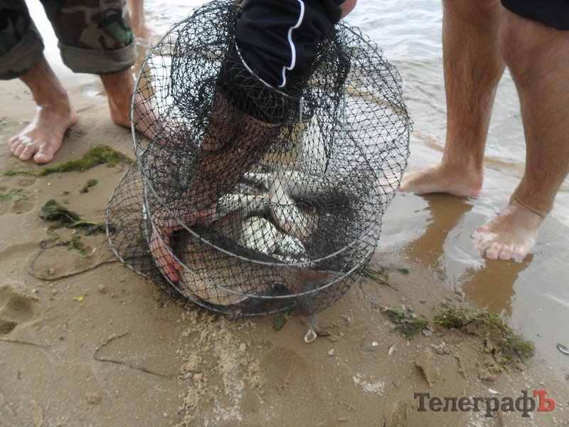 В Кременчуге прошел рыболовный фестиваль "Осенний Днепр 2011" В Кременчуге прошел рыболовный фестиваль "Осенний Днепр 2011"