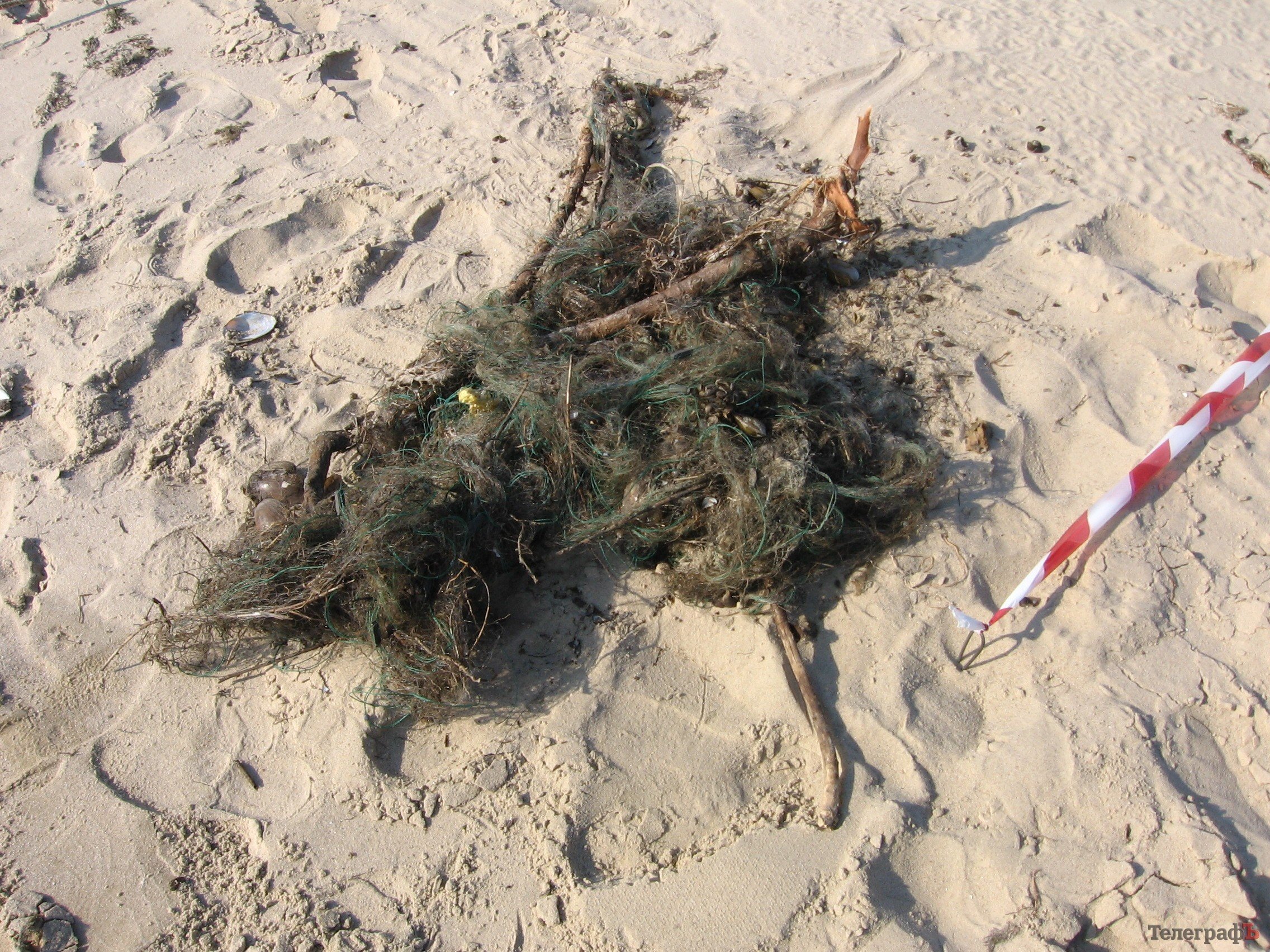 Охрана РЛП «Кременчугские плавни» уничтожила в августе 305 метров браконьерских сеток (фото) Охрана РЛП «Кременчугские плавни» уничтожила в августе 305 метров браконьерских сеток (фото)