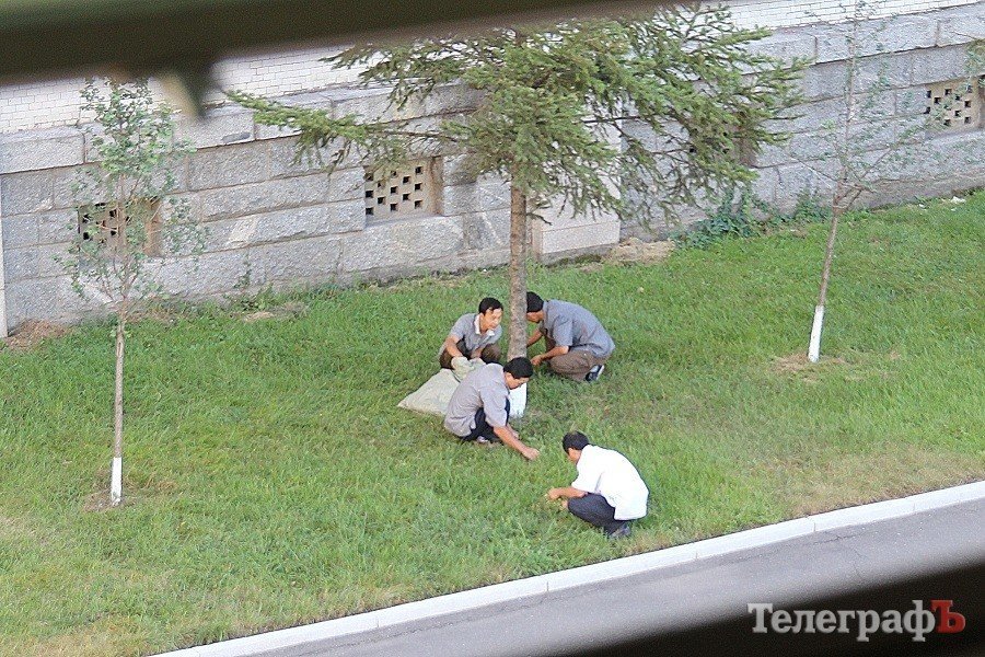 Северная Корея: ностальжи советского человека Северная Корея: ностальжи советского человека