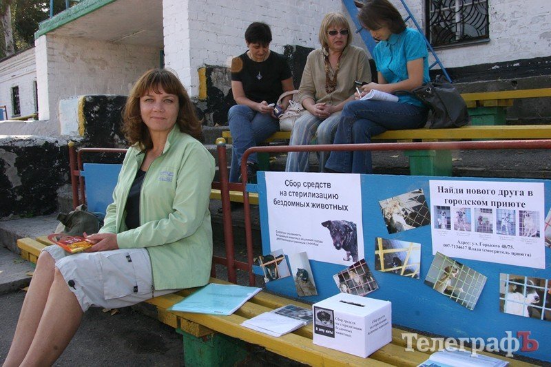 В Кременчуг за медалями съехались собаки В Кременчуг за медалями съехались собаки