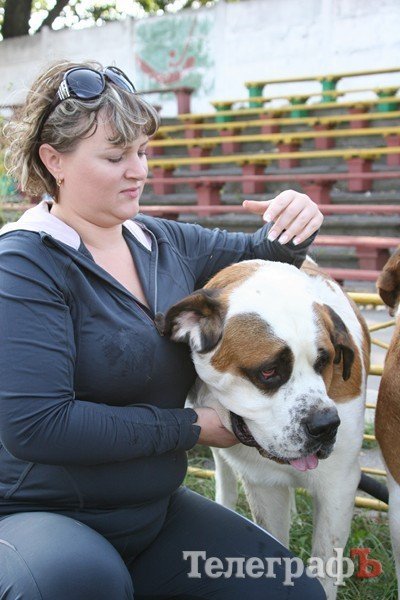 В Кременчуг за медалями съехались собаки В Кременчуг за медалями съехались собаки