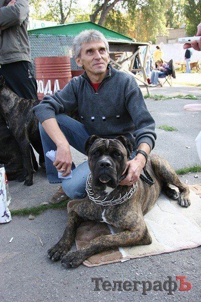 В Кременчуг за медалями съехались собаки В Кременчуг за медалями съехались собаки