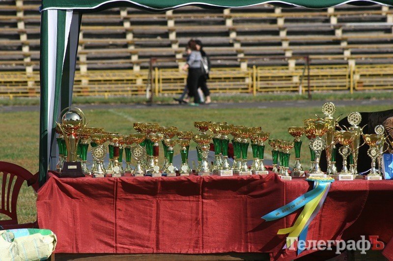 В Кременчуг за медалями съехались собаки В Кременчуг за медалями съехались собаки