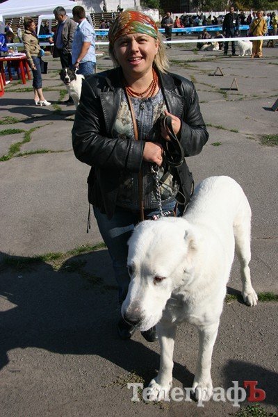 В Кременчуг за медалями съехались собаки В Кременчуг за медалями съехались собаки