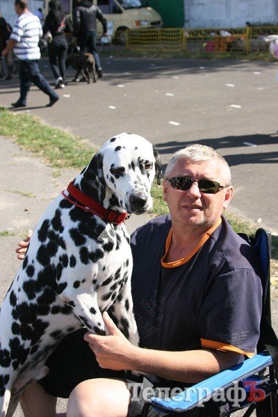 В Кременчуг за медалями съехались собаки В Кременчуг за медалями съехались собаки