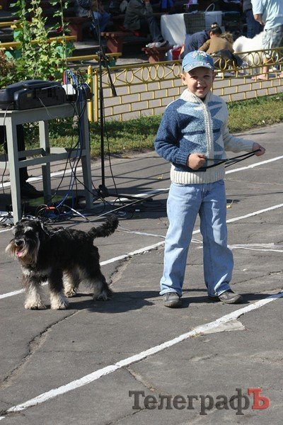 В Кременчуг за медалями съехались собаки В Кременчуг за медалями съехались собаки