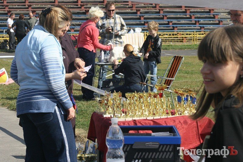 В Кременчуг за медалями съехались собаки В Кременчуг за медалями съехались собаки