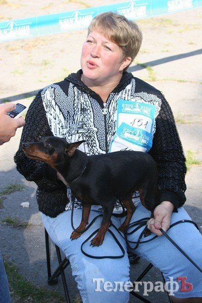 В Кременчуг за медалями съехались собаки В Кременчуг за медалями съехались собаки
