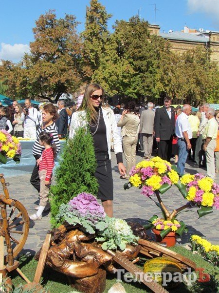 На площади Победы проходит фестиваль цветов (ФОТО) На площади Победы проходит фестиваль цветов (ФОТО)