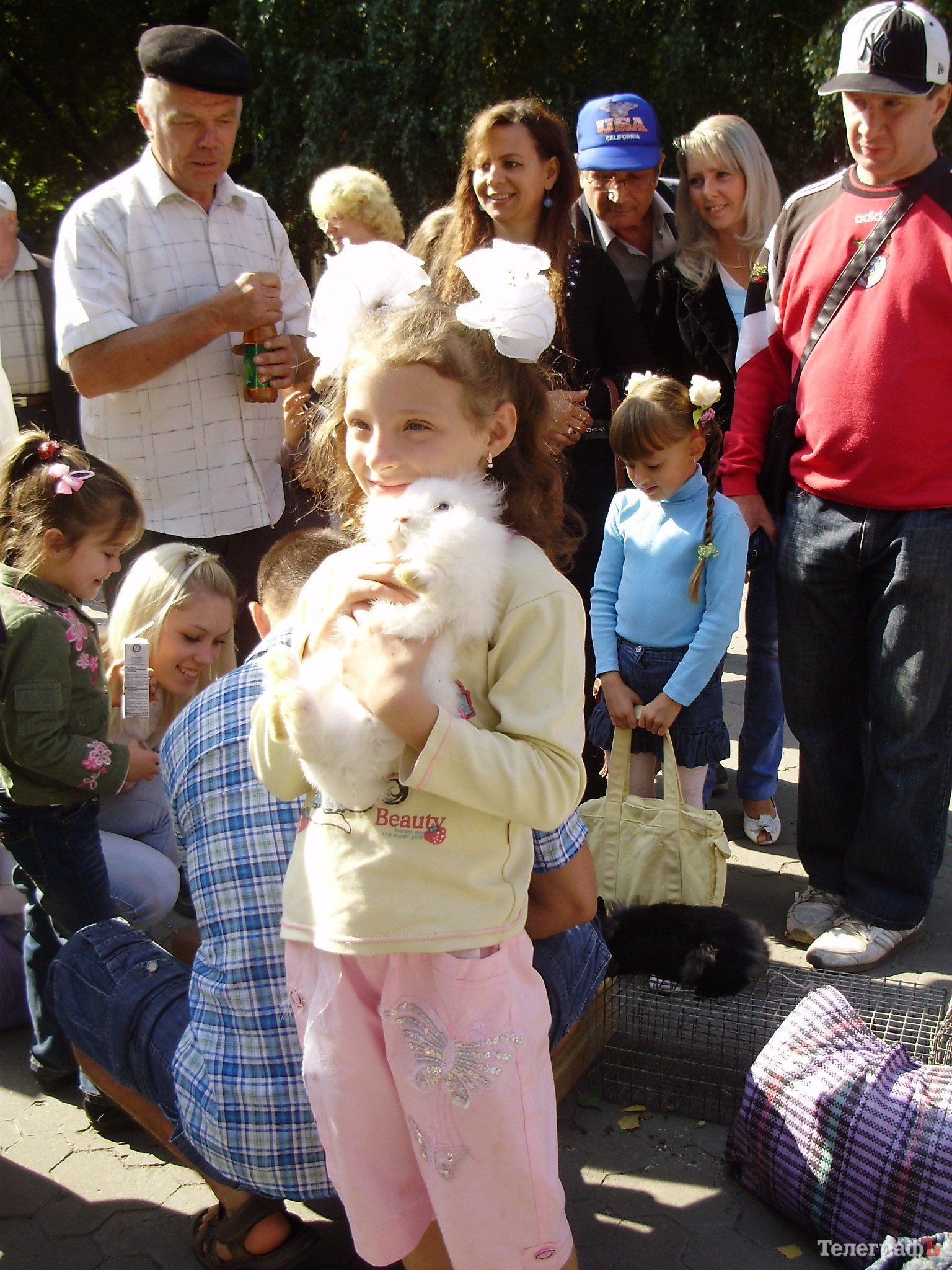 В Кременчуге прошла всеукраинская выставка голубей (ФОТОРЕПОРТАЖ) В Кременчуге прошла всеукраинская выставка голубей (ФОТОРЕПОРТАЖ)