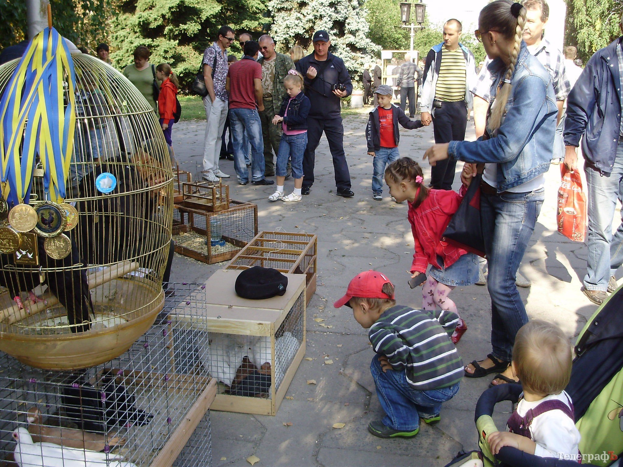 В Кременчуге прошла всеукраинская выставка голубей (ФОТОРЕПОРТАЖ) В Кременчуге прошла всеукраинская выставка голубей (ФОТОРЕПОРТАЖ)