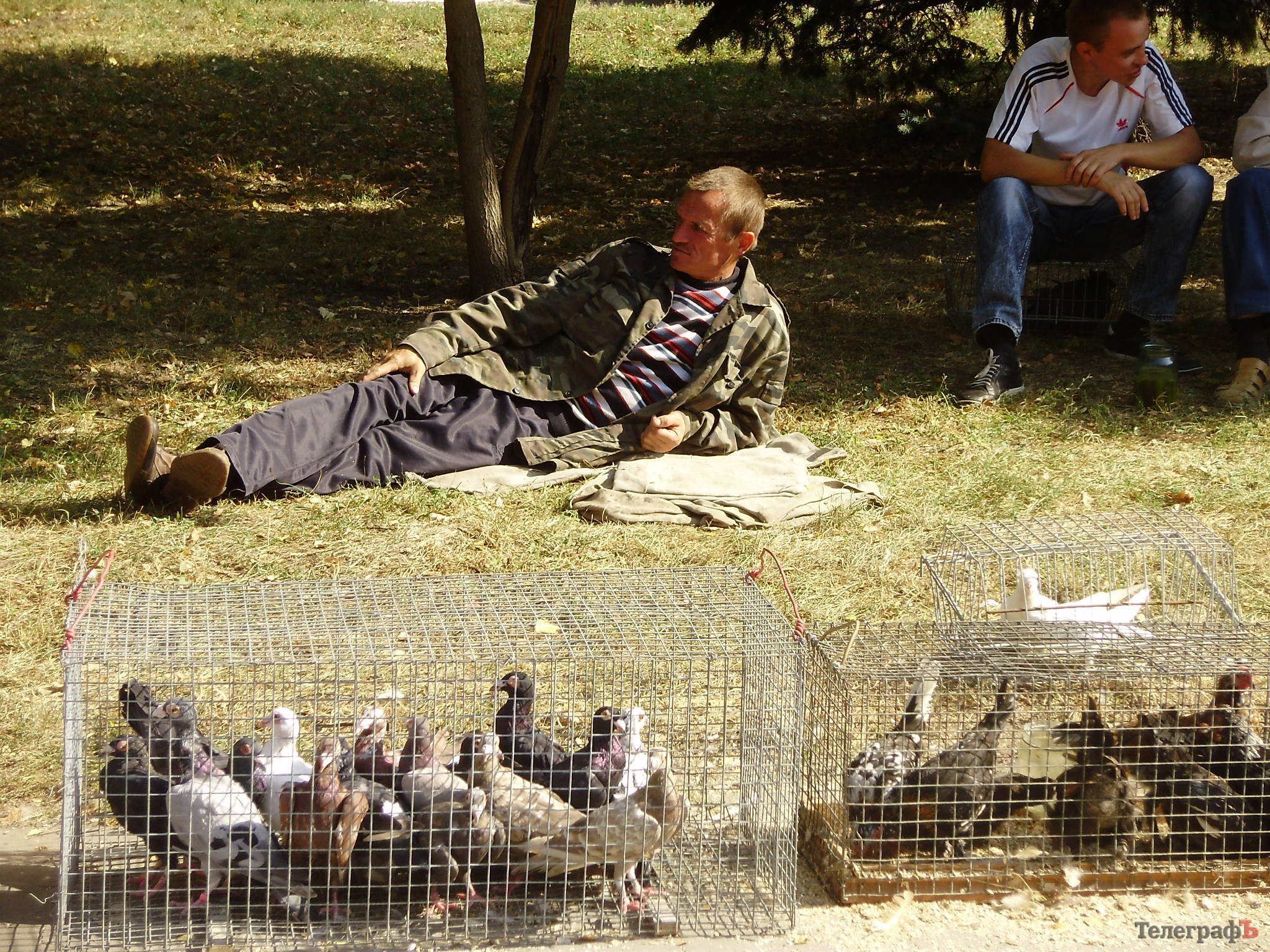 В Кременчуге прошла всеукраинская выставка голубей (ФОТОРЕПОРТАЖ) В Кременчуге прошла всеукраинская выставка голубей (ФОТОРЕПОРТАЖ)