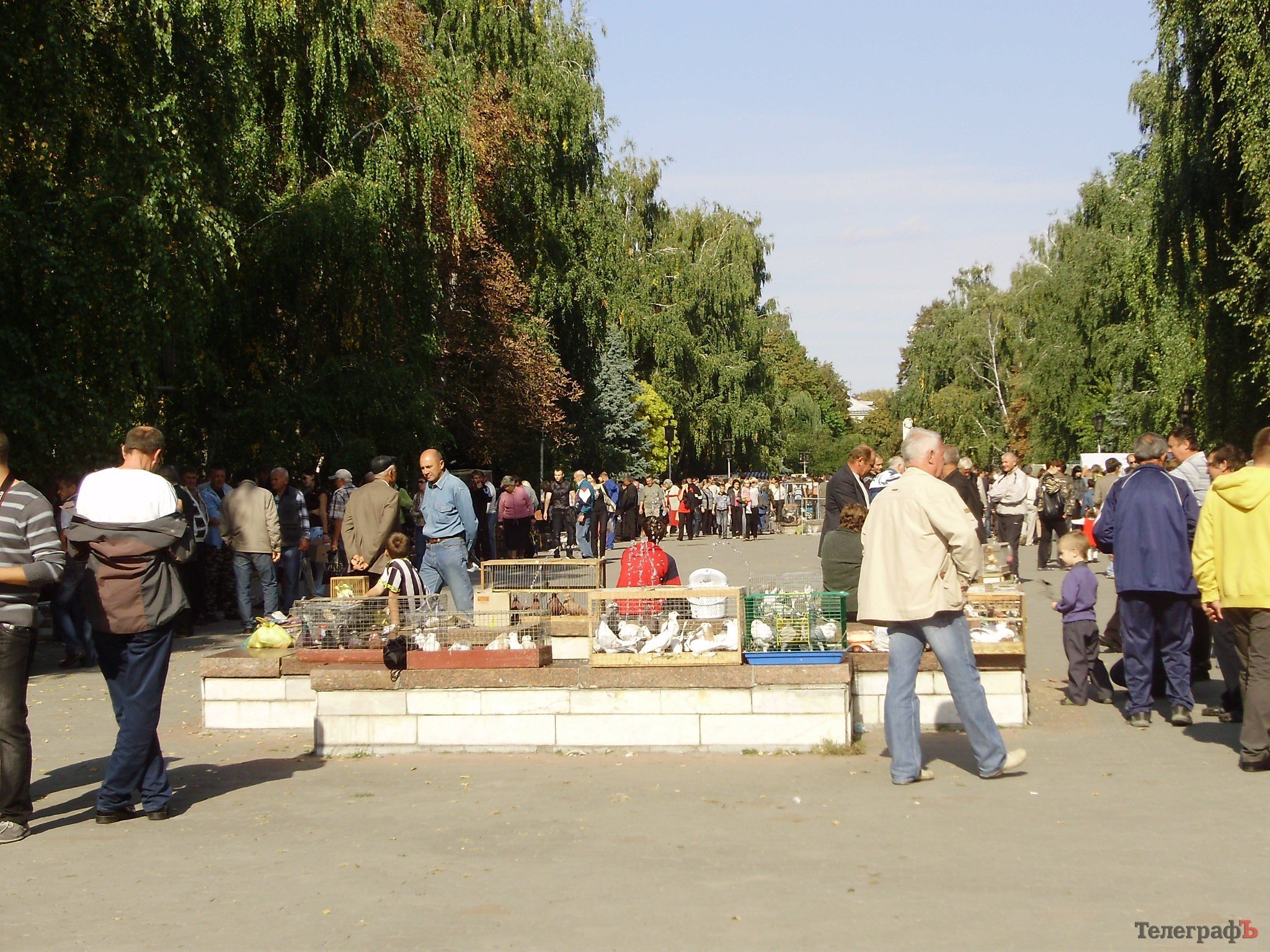 В Кременчуге прошла всеукраинская выставка голубей (ФОТОРЕПОРТАЖ) В Кременчуге прошла всеукраинская выставка голубей (ФОТОРЕПОРТАЖ)