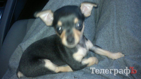 В назначенное время, спешу в назначенное место. Неее, не спешу — лечу. В назначенное время, спешу в назначенное место. Неее, не спешу — лечу.