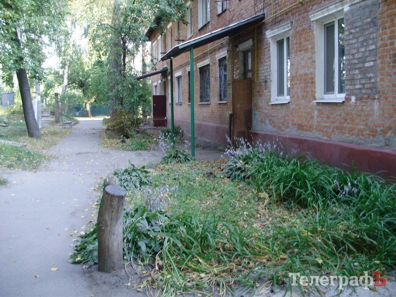 Пенсионеры вынуждены сидеть не на лавочке, а на пеньке (ФОТО) Пенсионеры вынуждены сидеть не на лавочке, а на пеньке (ФОТО)