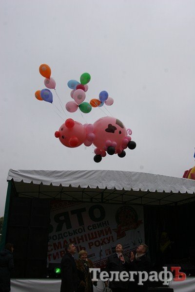 В Миргороде на Полтавщине отмечают праздник свиньи В Миргороде на Полтавщине отмечают праздник свиньи