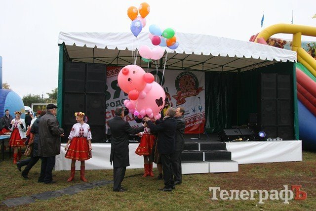 В Миргороде на Полтавщине отмечают праздник свиньи В Миргороде на Полтавщине отмечают праздник свиньи