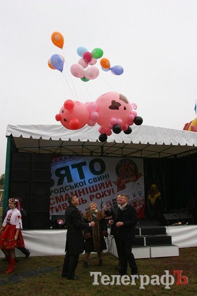 В Миргороде на Полтавщине отмечают праздник свиньи В Миргороде на Полтавщине отмечают праздник свиньи