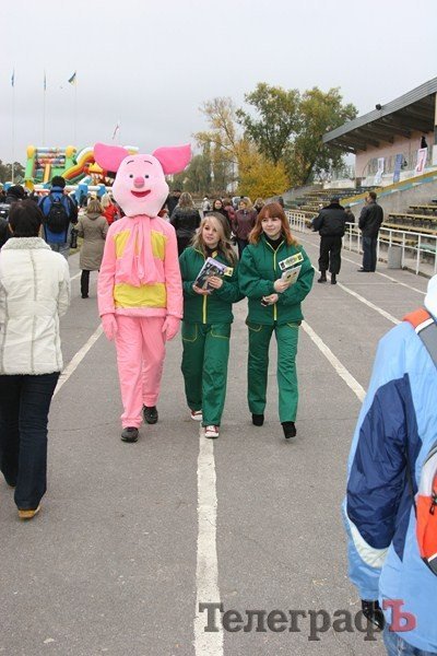 В Миргороде на Полтавщине отмечают праздник свиньи В Миргороде на Полтавщине отмечают праздник свиньи