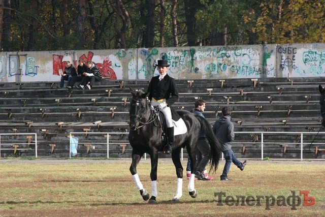 В Миргороде на Полтавщине отмечают праздник свиньи В Миргороде на Полтавщине отмечают праздник свиньи