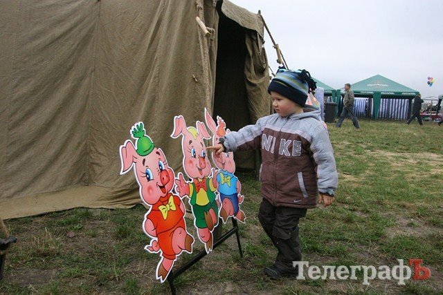 В Миргороде на Полтавщине отмечают праздник свиньи В Миргороде на Полтавщине отмечают праздник свиньи