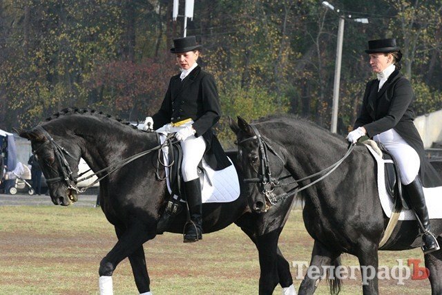 В Миргороде на Полтавщине отмечают праздник свиньи В Миргороде на Полтавщине отмечают праздник свиньи