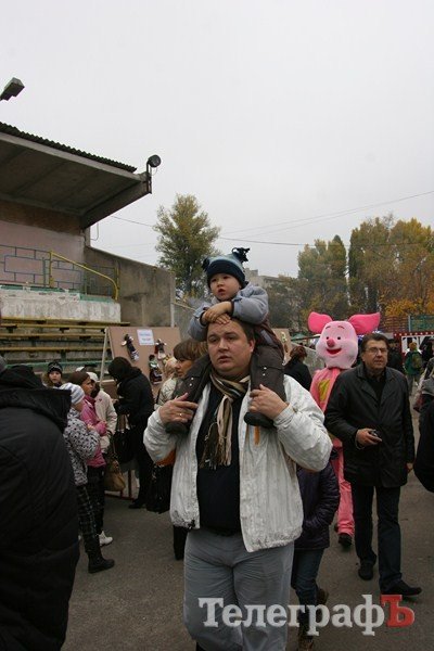 В Миргороде на Полтавщине отмечают праздник свиньи В Миргороде на Полтавщине отмечают праздник свиньи