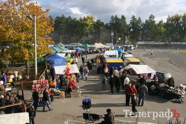 В Миргороде на Полтавщине отмечают праздник свиньи В Миргороде на Полтавщине отмечают праздник свиньи