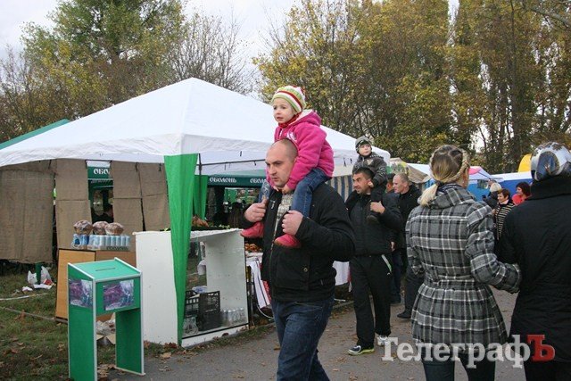 В Миргороде на Полтавщине отмечают праздник свиньи В Миргороде на Полтавщине отмечают праздник свиньи