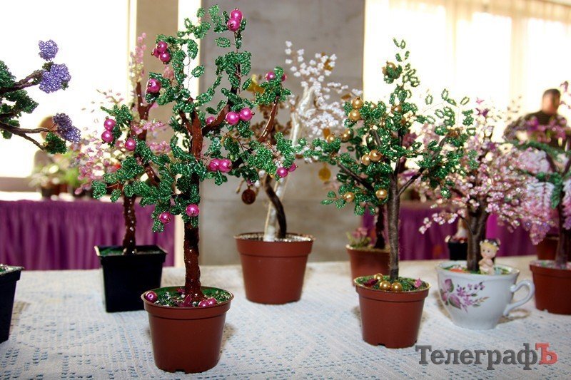 В Кременчуге открылась выставка фиалок В Кременчуге открылась выставка фиалок