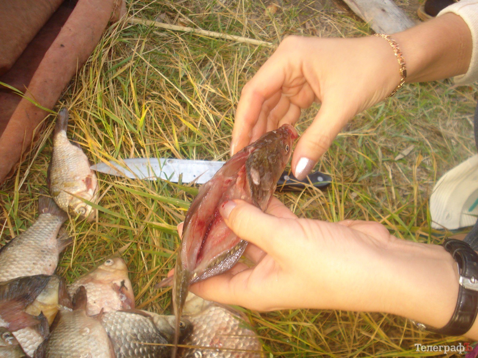 Кременчугский милиционер 5 часов просидел на кочке в костюме «кикиморы», чтобы поймать браконьеров с электроудочкой (ФОТО) Кременчугский милиционер 5 часов просидел на кочке в костюме «кикиморы», чтобы поймать браконьеров с электроудочкой (ФОТО)